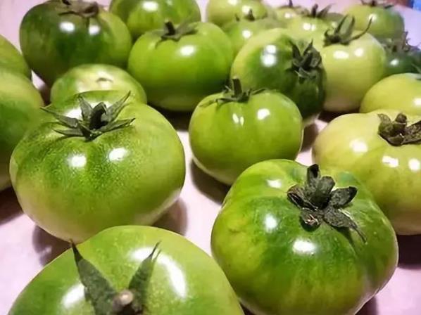 西红柿生吃还是熟吃 生吃摄入较多维生素C 熟吃吸收更多番茄红素765 / 作者:UFO爱好者 / 帖子ID:68858