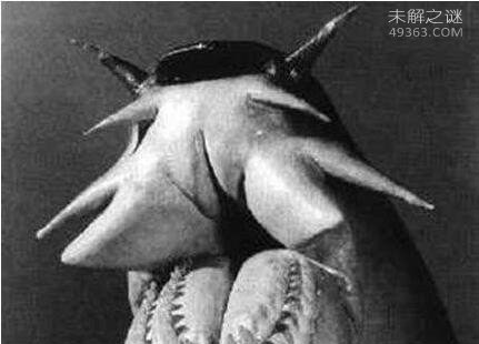雌雄同体的六种罕见怪兽,它们如何生育后代？403 / 作者:UFO爱好者 / 帖子ID:83083