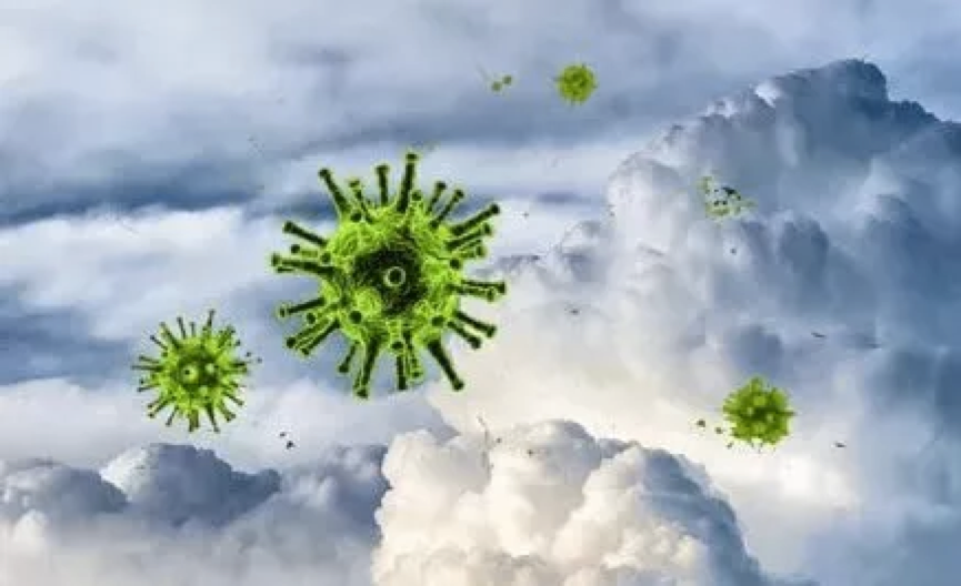 物种进化，病毒一路相伴187 / 作者:UFO爱好者 / 帖子ID:85677