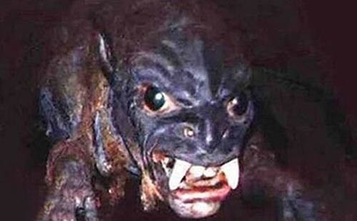全球十大奇异生物：绝对稀奇的恐怖河童276 / 作者:UFO爱好者 / 帖子ID:74413