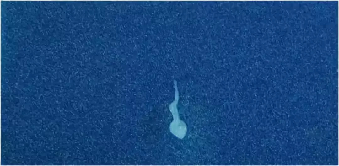 人类精子数量40年下降50%，什么样的内裤能保护精子质量？729 / 作者:UFO爱好者 / 帖子ID:85527