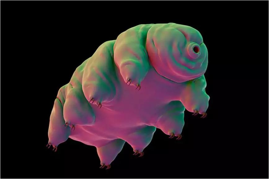 生物的量子进化891 / 作者:UFO爱好者 / 帖子ID:85465