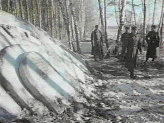 UFO真相：美军方收藏多具外星人尸体？544 / 作者:UFO爱好者 / 帖子ID:80314