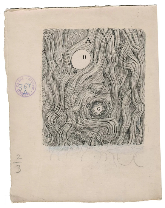 数百幅灵魂画作，让他收获诺奖、成为现代神经科学之父709 / 作者:UFO爱好者 / 帖子ID:67333