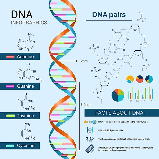 可能吗？你体内有50%的香蕉基因471 / 作者:UFO爱好者 / 帖子ID:85303