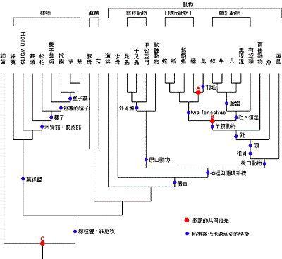 可能吗？你体内有50%的香蕉基因418 / 作者:UFO爱好者 / 帖子ID:85303