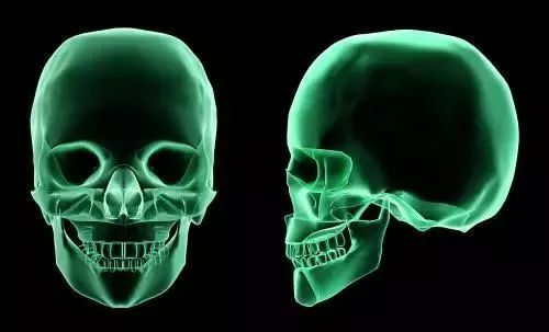 现代生活是如何改变人类骨骼的？390 / 作者:UFO爱好者 / 帖子ID:85039