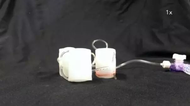 100%柔性的机器人诞生 可完成多项复杂动作401 / 作者:UFO爱好者 / 帖子ID:84999 100%柔性的机器人诞生 可完成多项复杂动作401 / 作者:UFO爱好者 / 帖子ID:84999