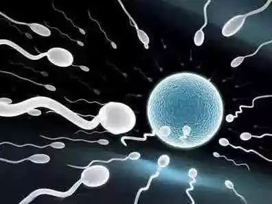 男性精子数量锐减 新技术能解决精子危机吗？593 / 作者:UFO爱好者 / 帖子ID:84855