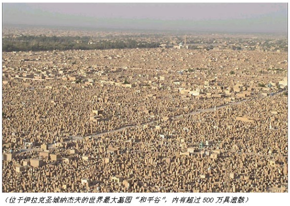 地球历史上，一共出现过多少人？81 / 作者:UFO爱好者 / 帖子ID:84849