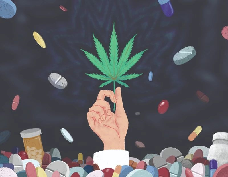 大麻能解决阿片危机吗?767 / 作者:UFO爱好者 / 帖子ID:84772 大麻能解决阿片危机吗?767 / 作者:UFO爱好者 / 帖子ID:84772