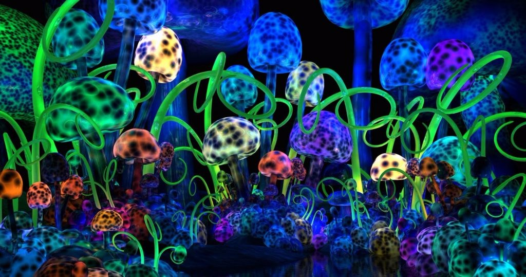 让人产生幻觉的毒蘑菇，可以治疗抑郁症？148 / 作者:UFO爱好者 / 帖子ID:84599