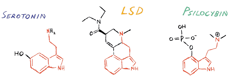 让人产生幻觉的毒蘑菇，可以治疗抑郁症？866 / 作者:UFO爱好者 / 帖子ID:84599