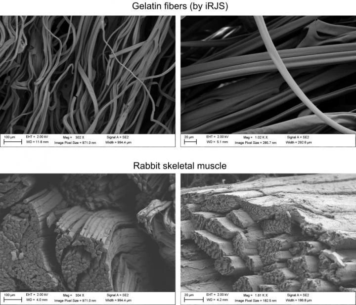 哈弗科学家培养出人造肉纤维540 / 作者:UFO爱好者 / 帖子ID:83828