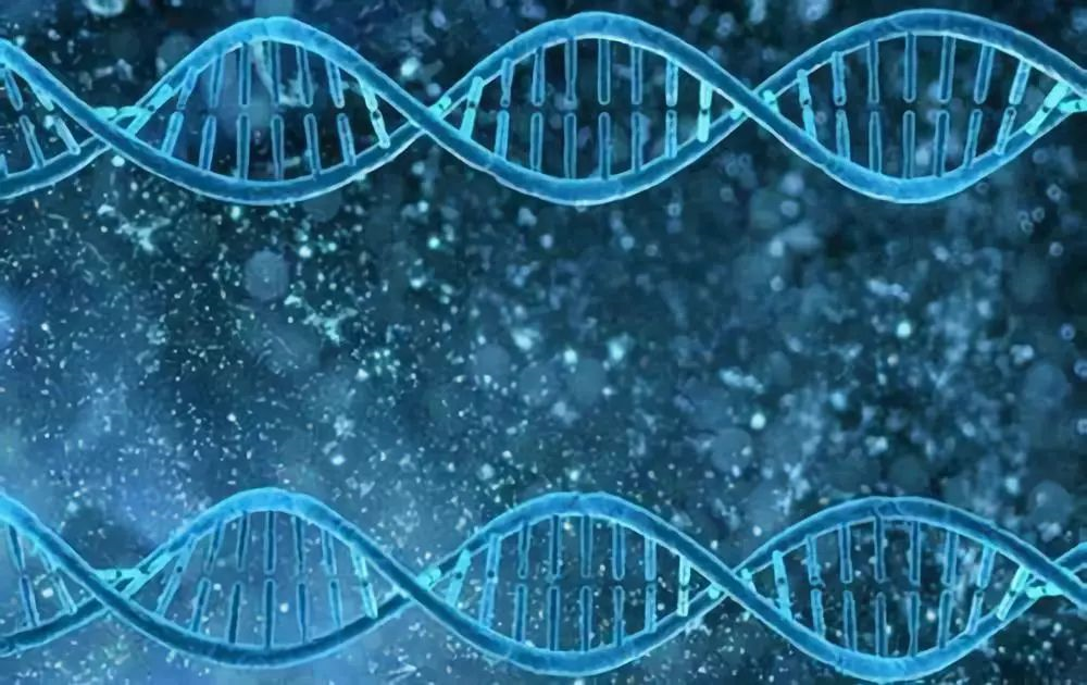 科学家发现超百万种遗传分子：DNA只是其中之一771 / 作者:UFO爱好者 / 帖子ID:83615