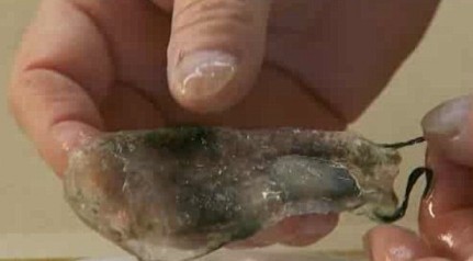盘点神秘罕见的海怪 果冻状的＂透明虾＂258 / 作者:UFO爱好者 / 帖子ID:84189