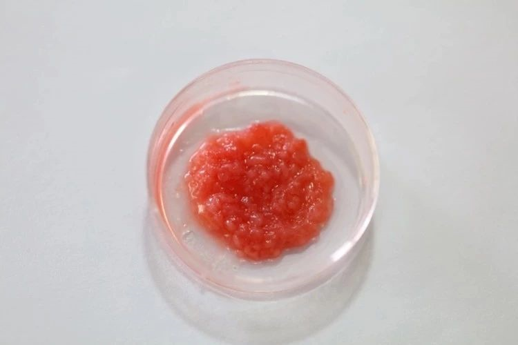 中国第一块肌肉干细胞人造肉诞生736 / 作者:UFO爱好者 / 帖子ID:83539