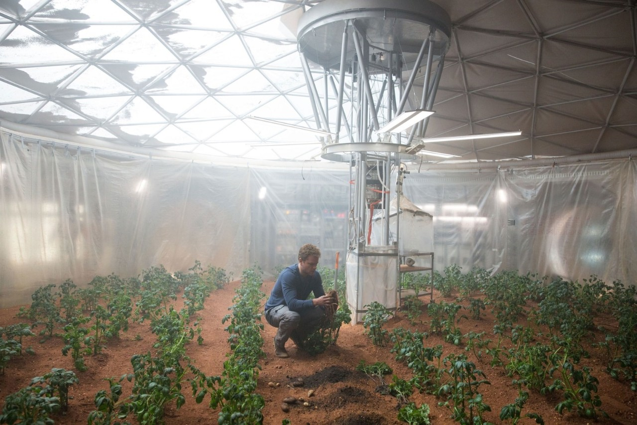 火星上真的可以种土豆了?605 / 作者:UFO爱好者 / 帖子ID:83486 火星上真的可以种土豆了?605 / 作者:UFO爱好者 / 帖子ID:83486
