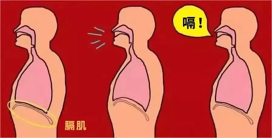 唯一有科学依据的止嗝方法竟然是……750 / 作者:UFO爱好者 / 帖子ID:83480