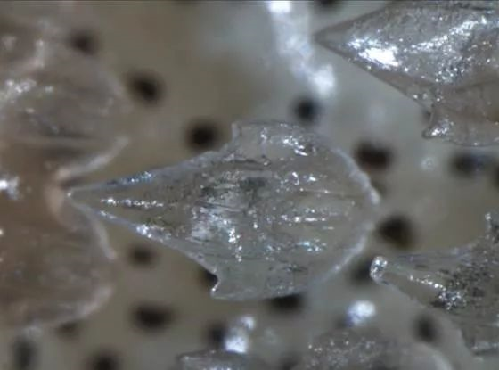 剥夺鲨鱼霸主地位的，可能是被海水酸掉的大牙186 / 作者:UFO爱好者 / 帖子ID:83174