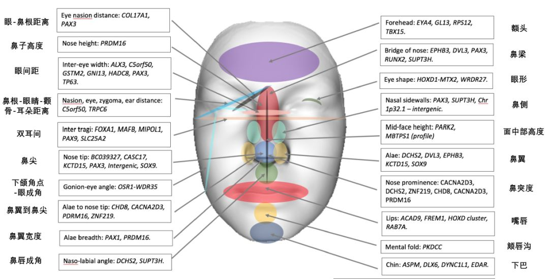 世界上是否存在另一个你？291 / 作者:UFO爱好者 / 帖子ID:82958