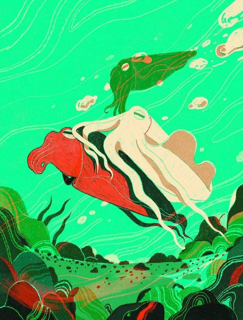 动物界的骗子高手727 / 作者:UFO爱好者 / 帖子ID:82793