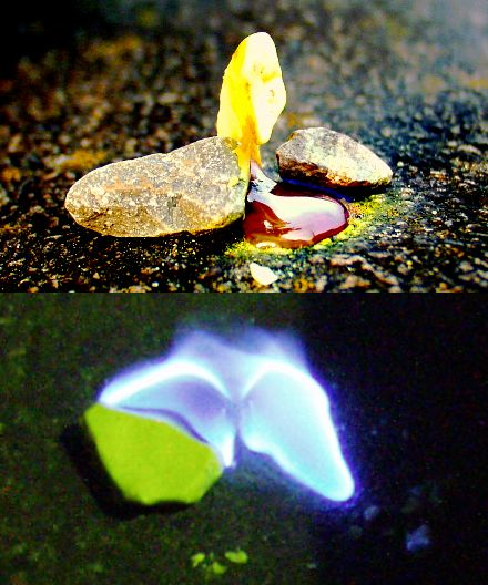 在没有84和酒精的时候，人类怎么消毒？32 / 作者:UFO爱好者 / 帖子ID:82339