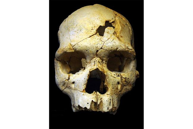 人类对死亡的独特理解，是从什么时候开始的？135 / 作者:UFO爱好者 / 帖子ID:82086