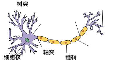 隔离30天后，它们的脑细胞缩小了两成166 / 作者:UFO爱好者 / 帖子ID:81990