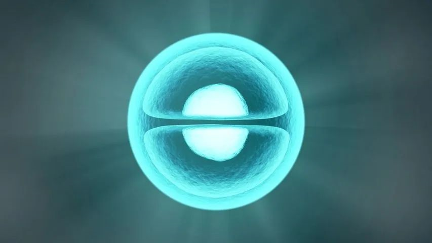 Nature：发现DNA折叠产生的新结构349 / 作者:UFO爱好者 / 帖子ID:81989