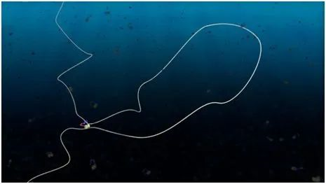 Nature：发现DNA折叠产生的新结构633 / 作者:UFO爱好者 / 帖子ID:81989