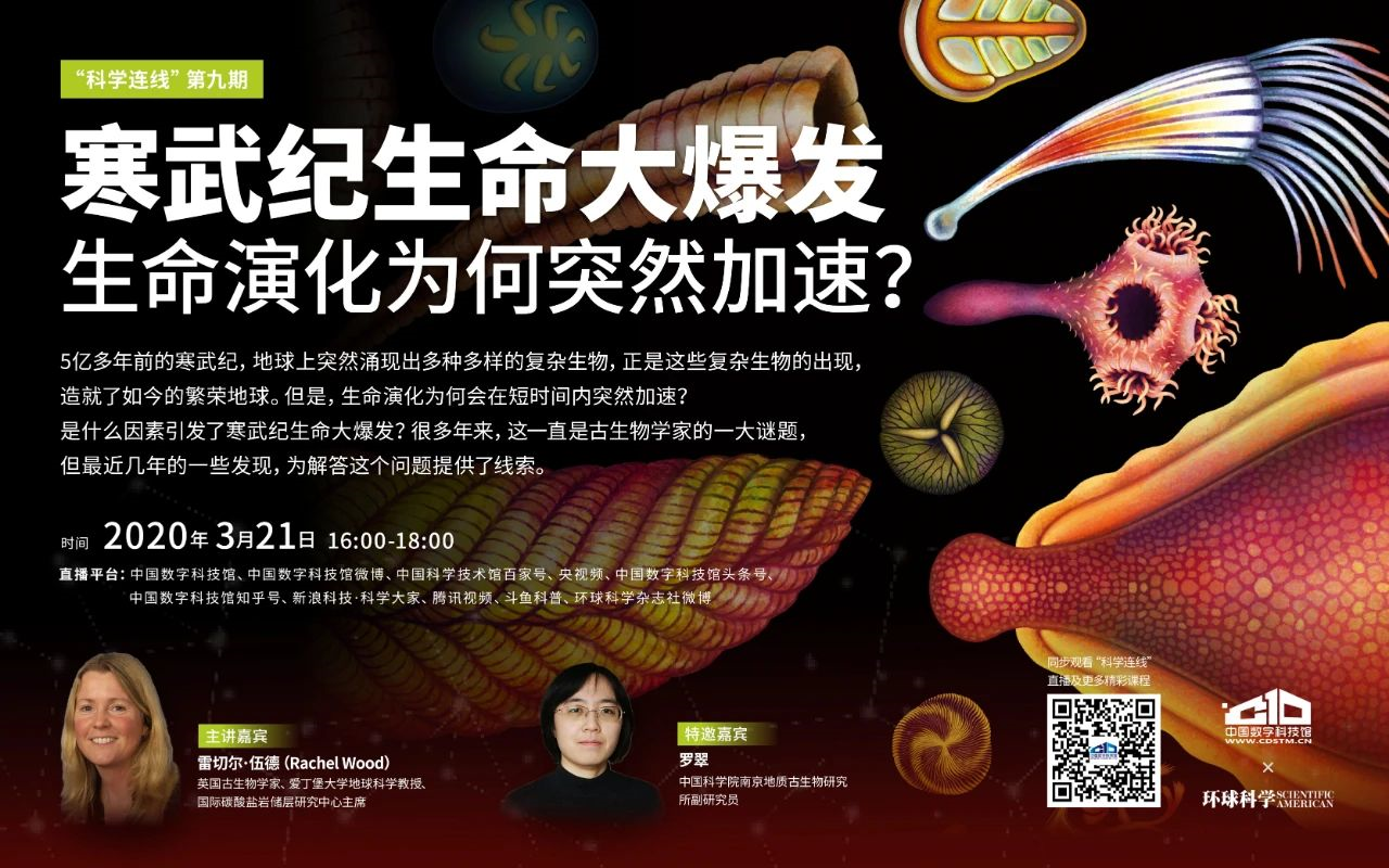 生命演化为何在寒武纪突然加速？889 / 作者:UFO爱好者 / 帖子ID:81886
