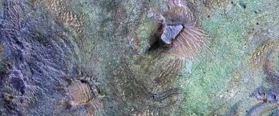 把火星改造成第二个地球，可能吗？422 / 作者:UFO爱好者 / 帖子ID:81680