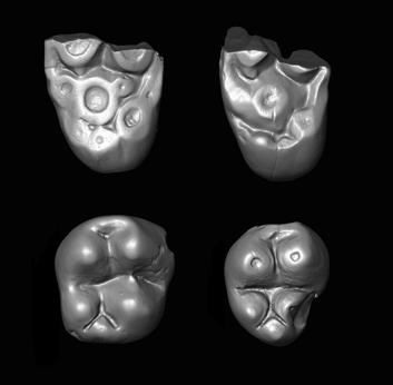 2020年4月10日环球科学要闻671 / 作者:UFO爱好者 / 帖子ID:81201