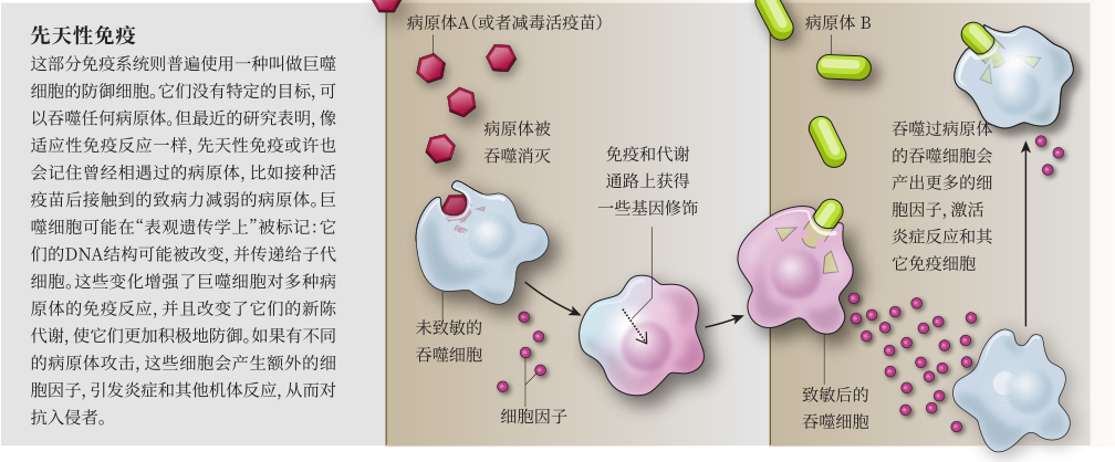 “万能”疫苗真实存在吗？517 / 作者:UFO爱好者 / 帖子ID:80990