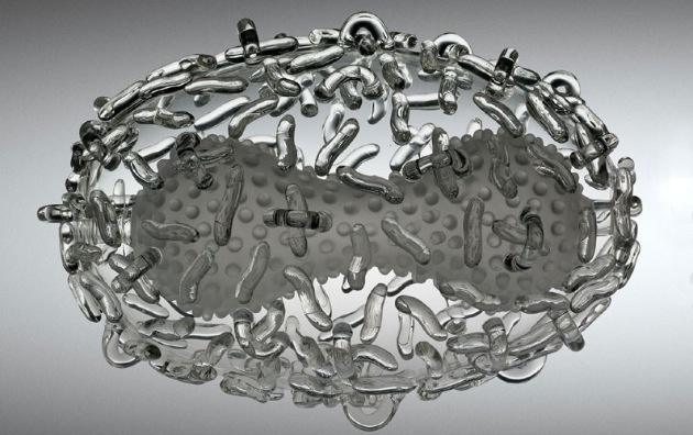 从天花到新冠：我们如何永久消灭疾病？351 / 作者:UFO爱好者 / 帖子ID:80797