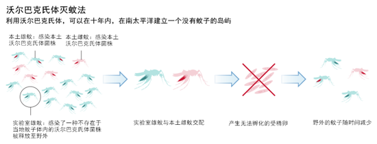 如何团灭蚊子？科学家想出了新招数170 / 作者:UFO爱好者 / 帖子ID:80794