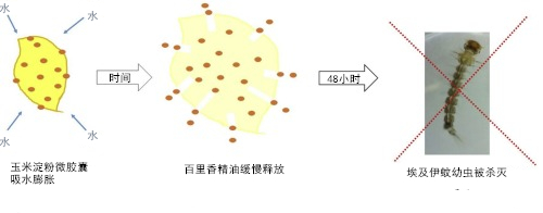 如何团灭蚊子？科学家想出了新招数282 / 作者:UFO爱好者 / 帖子ID:80794
