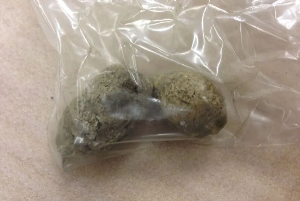 如何分辨7000年前的米田共?739 / 作者:UFO爱好者 / 帖子ID:80707 如何分辨7000年前的米田共?739 / 作者:UFO爱好者 / 帖子ID:80707