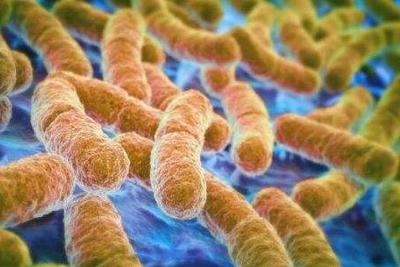 微生物可在纯氢气环境生存652 / 作者:UFO爱好者 / 帖子ID:80567 微生物可在纯氢气环境生存652 / 作者:UFO爱好者 / 帖子ID:80567