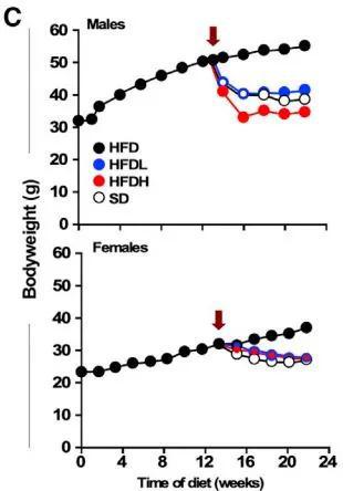 科学家发现经典戒酒药有助于减肥948 / 作者:UFO爱好者 / 帖子ID:80360