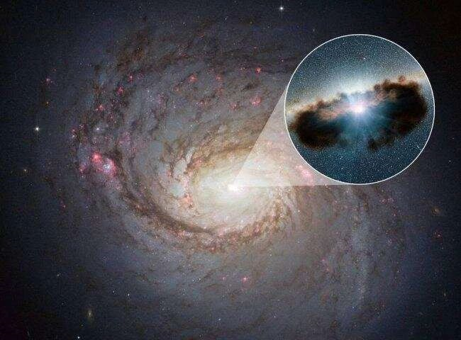 2020年7月2日环球科学要闻205 / 作者:UFO爱好者 / 帖子ID:79308