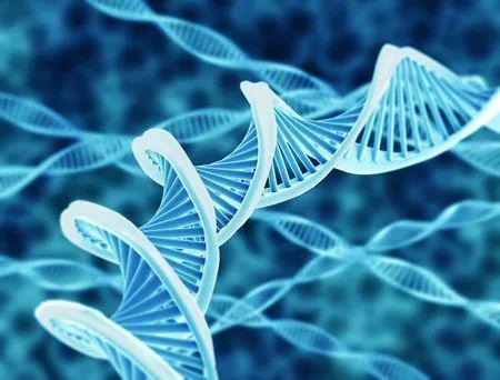 生命起源先有DNA还是先有RNA？702 / 作者:UFO爱好者 / 帖子ID:79224