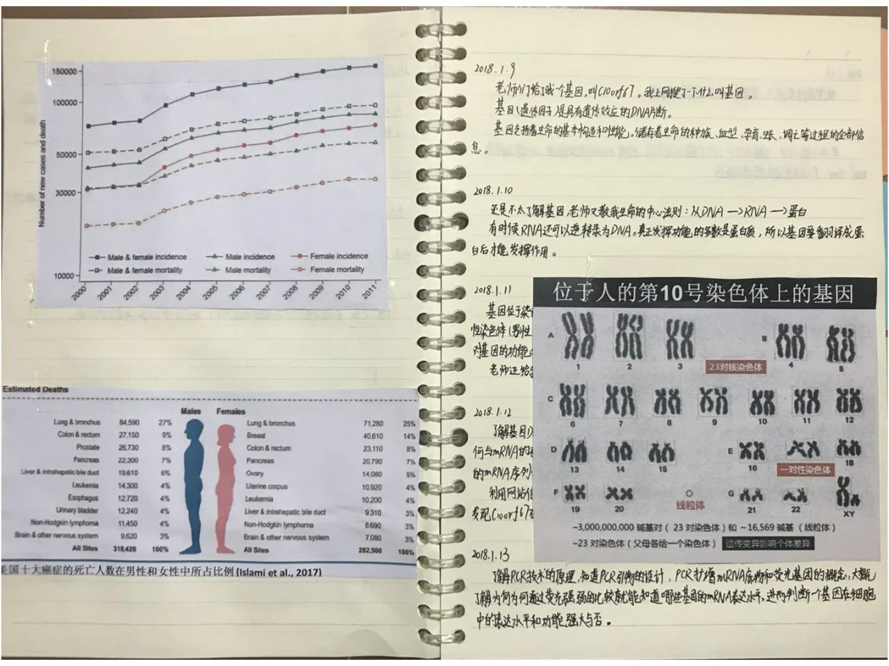 六年级小学生完成博士级课题？父母单位已成立调查组735 / 作者:UFO爱好者 / 帖子ID:79086