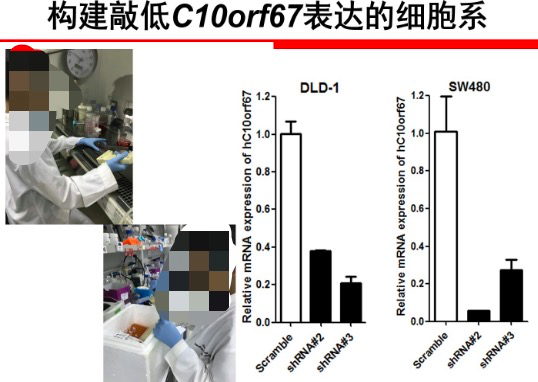 六年级小学生完成博士级课题？父母单位已成立调查组695 / 作者:UFO爱好者 / 帖子ID:79086