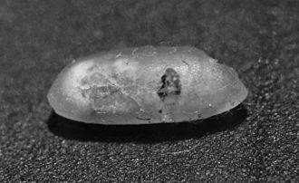 你吃的每碗饭都可能含有它们的虫卵706 / 作者:UFO爱好者 / 帖子ID:78665