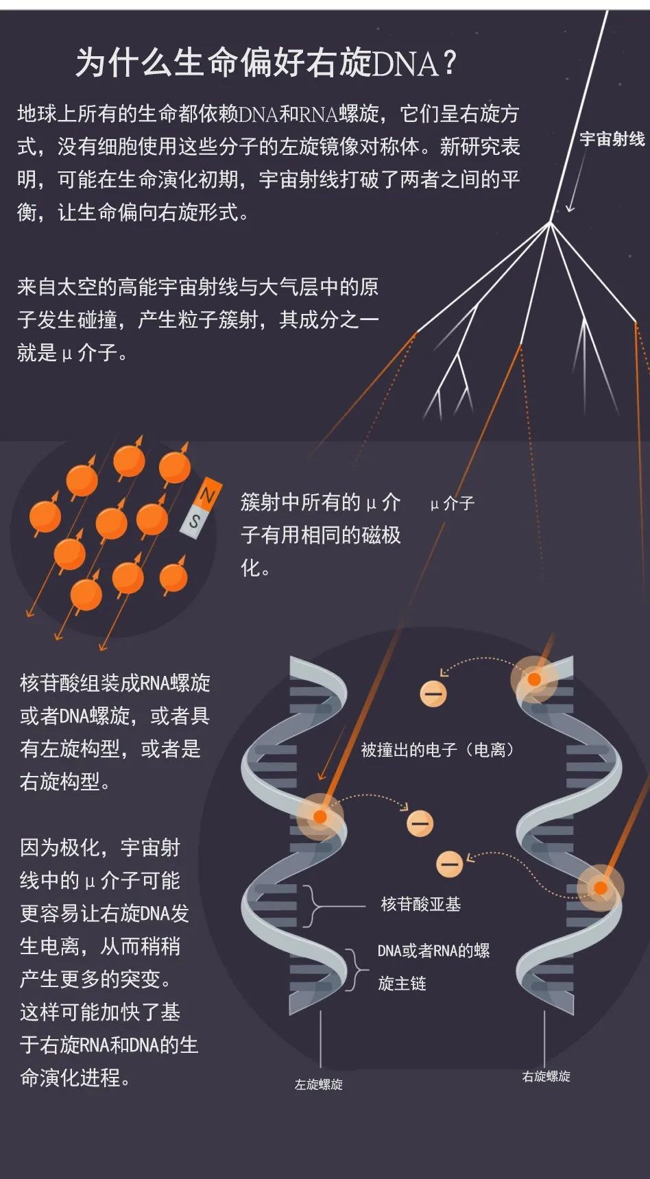 生物分子偏爱右旋,可能和宇宙射线有关?841 / 作者:UFO爱好者 / 帖子ID:78468 生物分子偏爱右旋,可能和宇宙射线有关?841 / 作者:UFO爱好者 / 帖子ID:78468