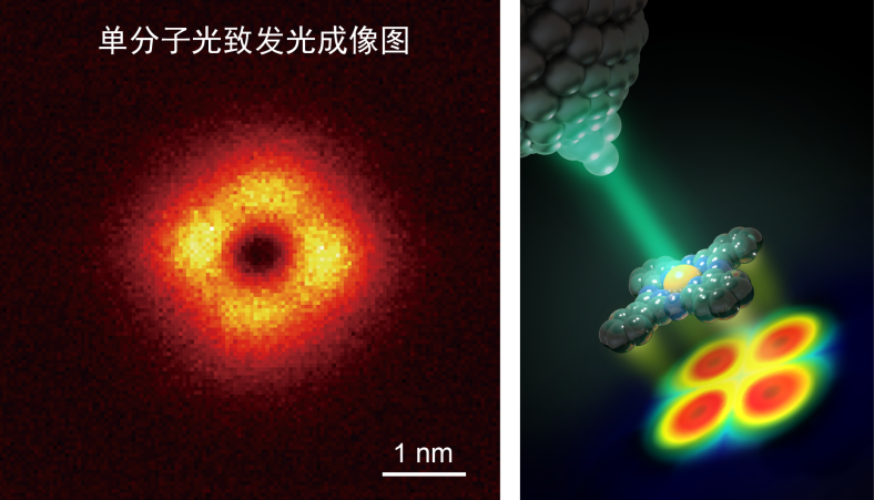 2020年8月12日环球科学要闻398 / 作者:UFO爱好者 / 帖子ID:78289