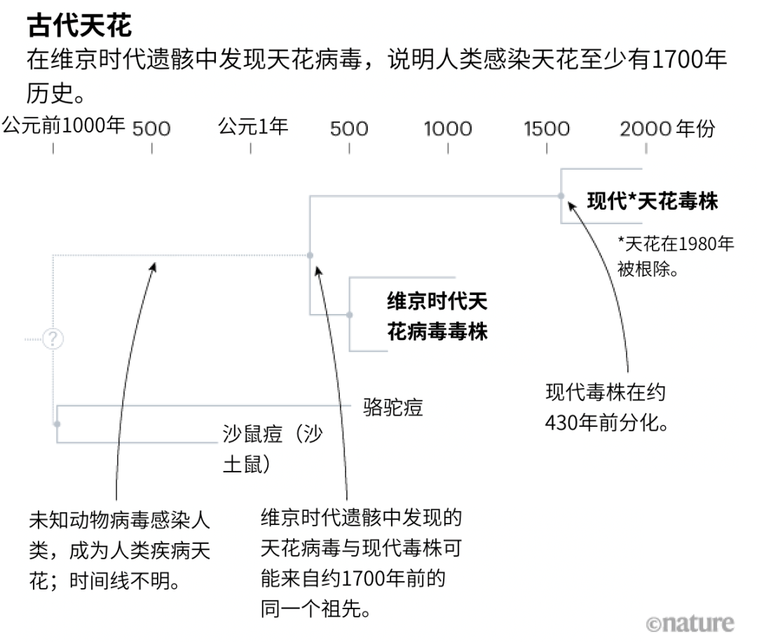 揭秘1700年前的天花病人484 / 作者:UFO爱好者 / 帖子ID:78176 揭秘1700年前的天花病人484 / 作者:UFO爱好者 / 帖子ID:78176