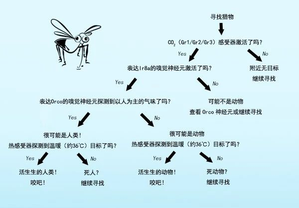 想避免被蚊子咬，你需要一个脚臭的朋友？383 / 作者:UFO爱好者 / 帖子ID:76987